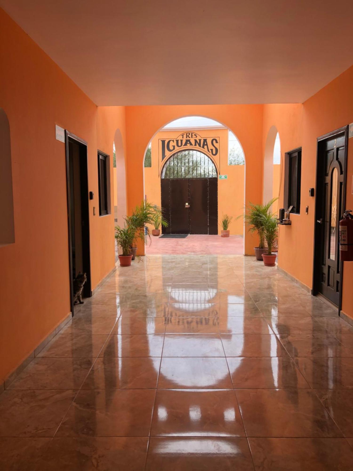 Tres Iguanas Apart Hotel - New, Cozy & Spacious Flats, Short Walk To Beach Лорето Екстер'єр фото