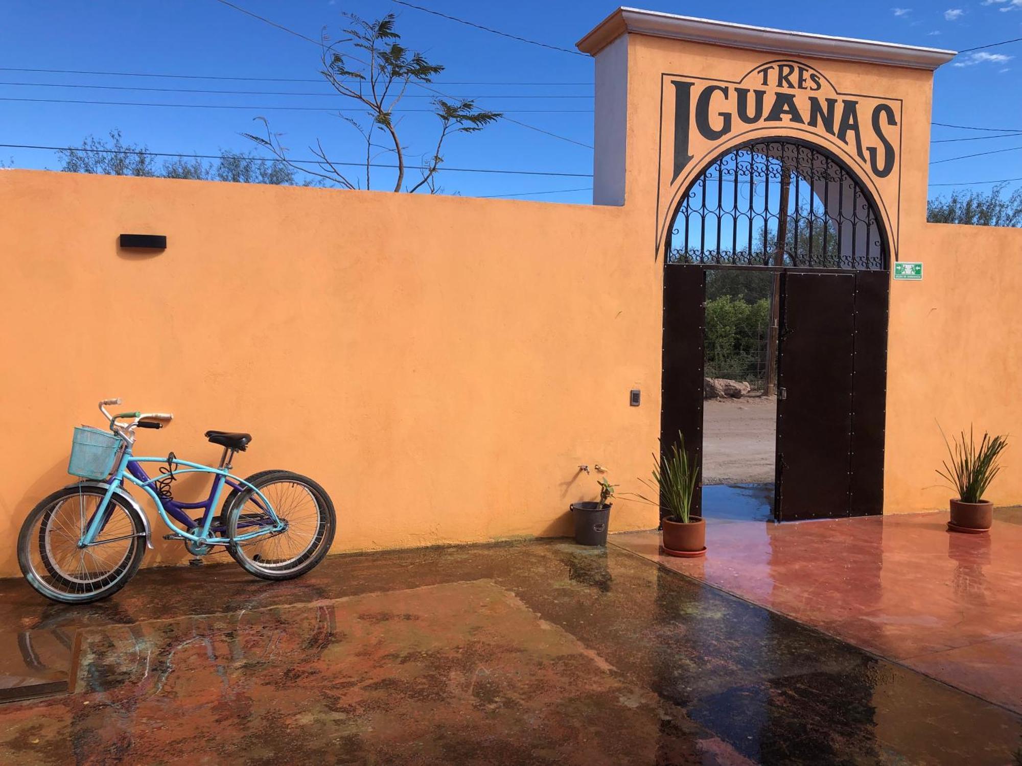 Tres Iguanas Apart Hotel - New, Cozy & Spacious Flats, Short Walk To Beach Лорето Екстер'єр фото