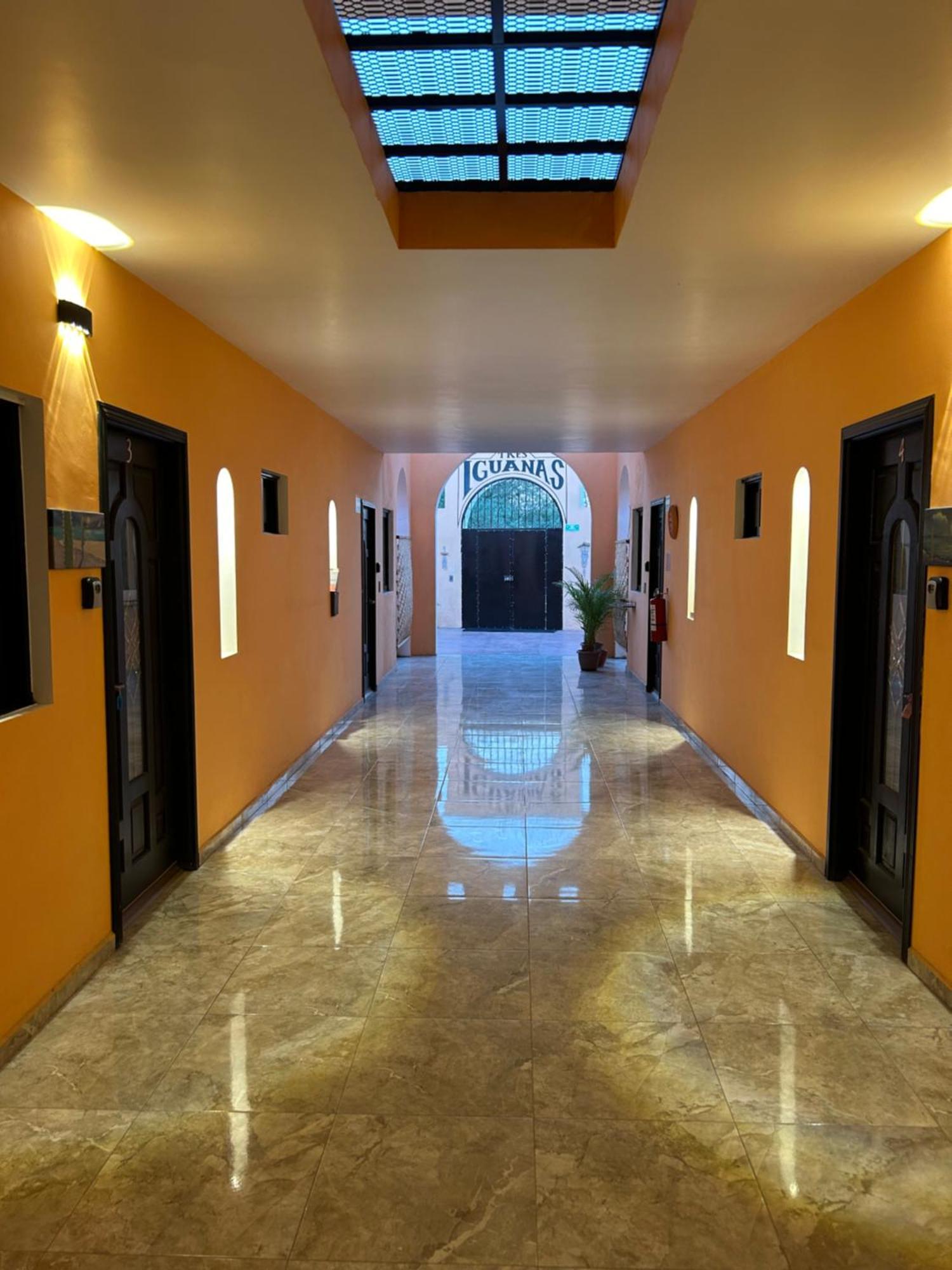 Tres Iguanas Apart Hotel - New, Cozy & Spacious Flats, Short Walk To Beach Лорето Екстер'єр фото